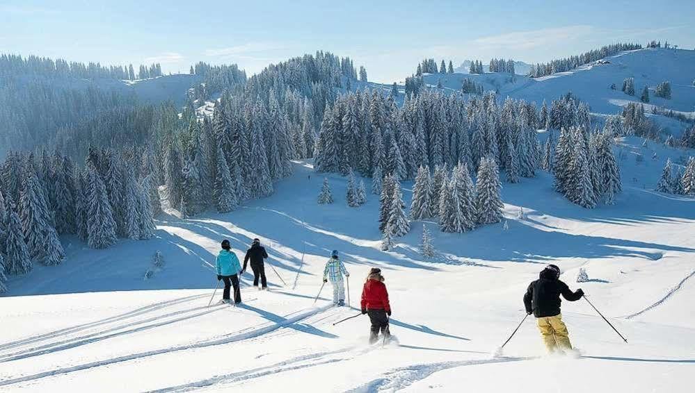 Chalet Hotel Regina Ле-Гет Экстерьер фото